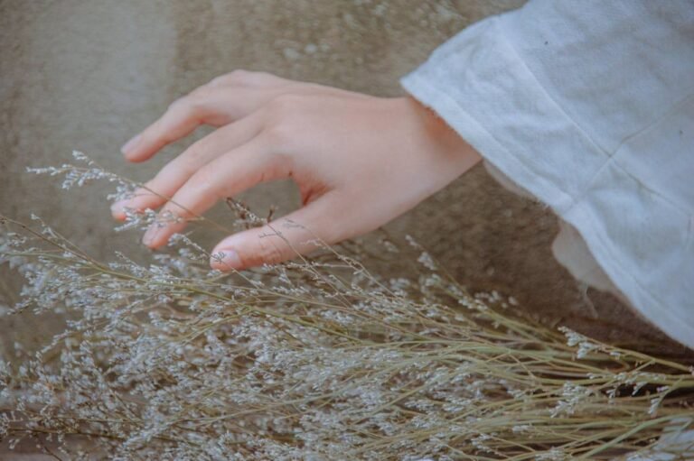 Korean Skin Care For Dry Skin
